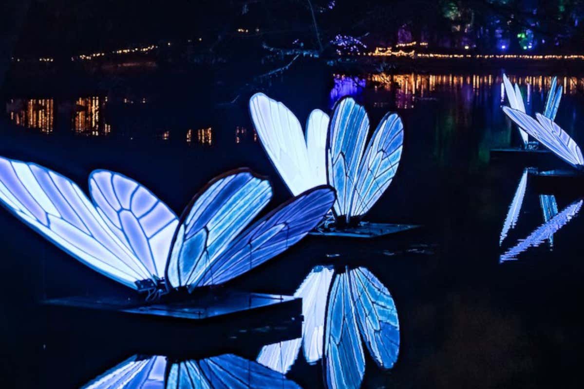 Mille e una idee per chi ama il Natale. E anche per chi non lo sopporta